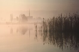 Excursie vaartocht: Dauwtrappen voor vroege vogels