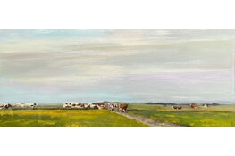 Idylle in landelijk De Rijp